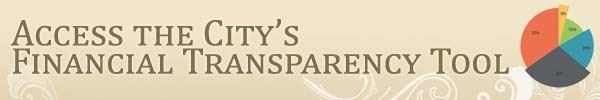 Access the Citys Financial Transparency Tool